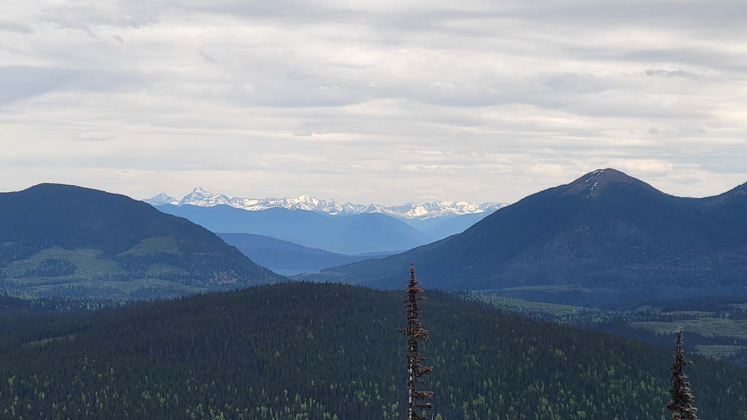 Quesnel - Wells